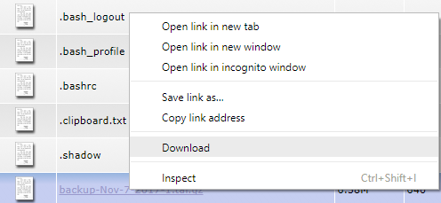 direct admin backup direct admin backup